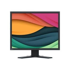 21" EIZO FlexScan S2134 - 1600x1200 - 60Hz - IPS
